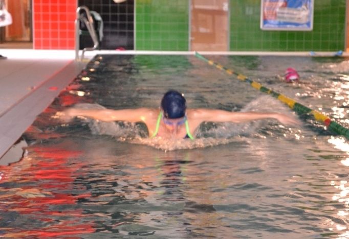 Delfin